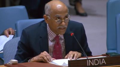 'Gave lifetime immunity to Asim Munir': India criticises Pakistan at UNSC; cites Imran Khan’s imprisonment