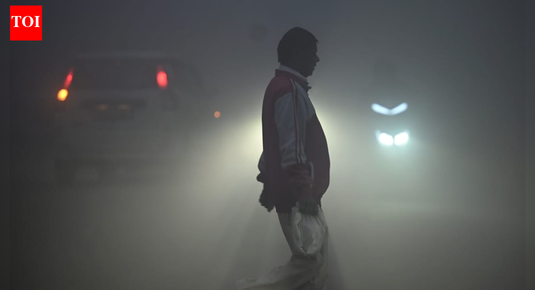 The Times of India - Other - News Image