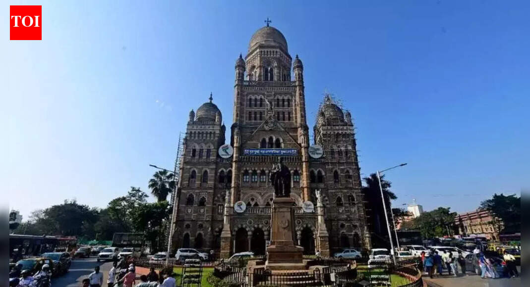 Mumbai civic polls: Last BMC house had only 2 A-graders; most corporators underperformed even during covid