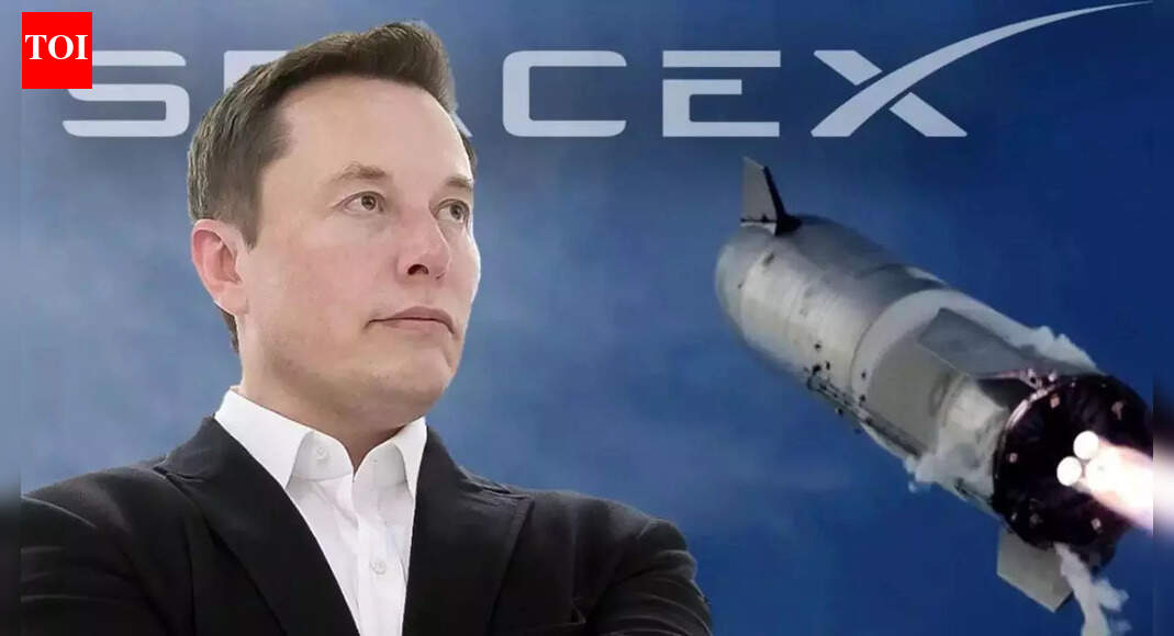 How Elon Musk may add $100 billion-plus to Google's cash reserves