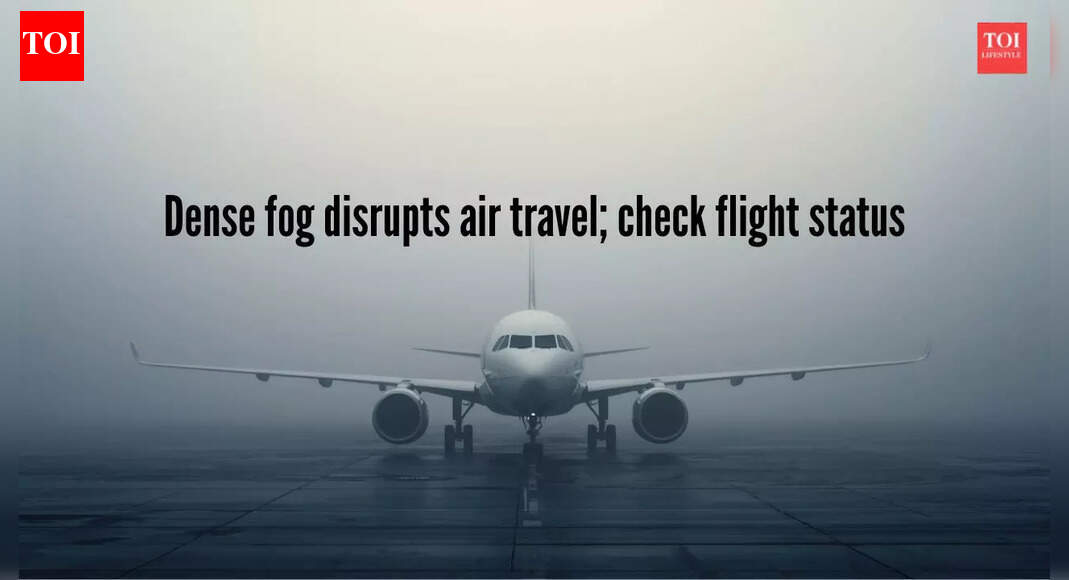 Air travel hit by dense fog in North India, Delhi worst affected: 100+ flights cancelled, passengers asked to check status