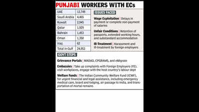 Punjabi workers face Gulf's crude reality, sans wages