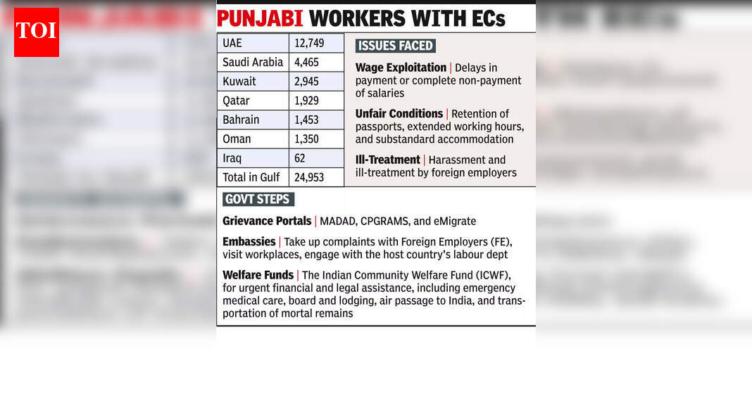 Punjabi workers face Gulf's crude reality, sans wages