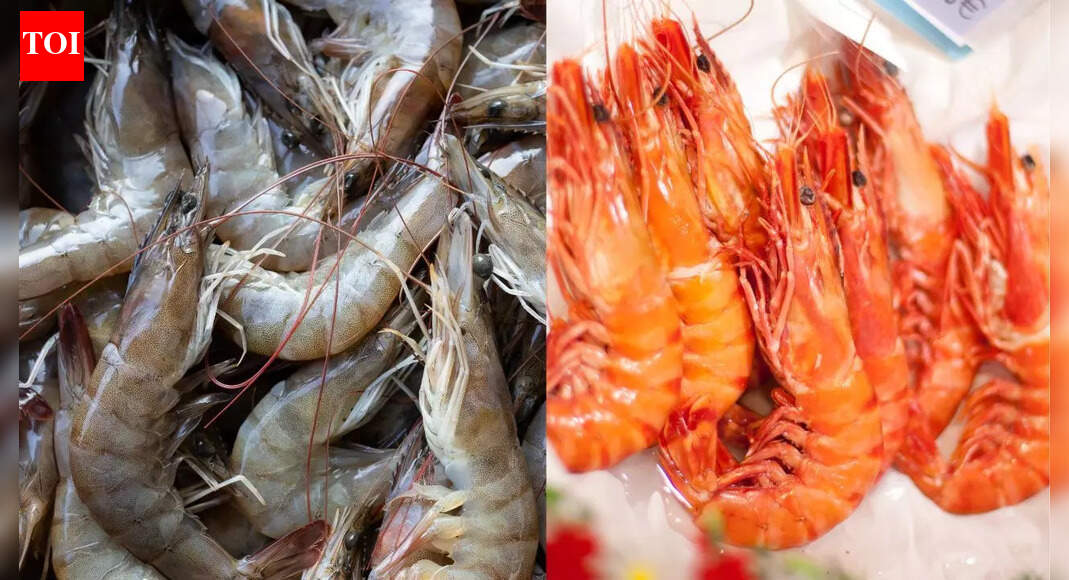 Shrimps and prawns are not same! What anatomy reveals about size, texture and taste