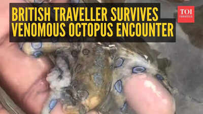 British traveller narrowly escapes death from world’s most venomous octopus – watch