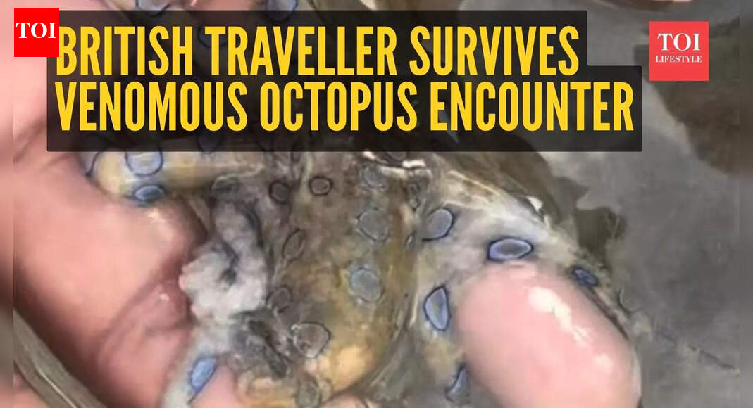 British traveller narrowly escapes death from world’s most venomous octopus – watch