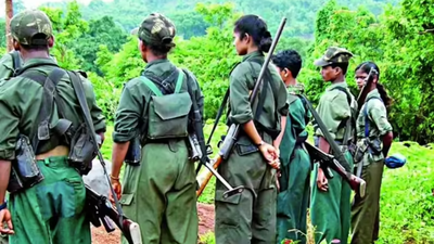  34 Naxals surrender in Bijapur; carried Rs 84 lakh reward