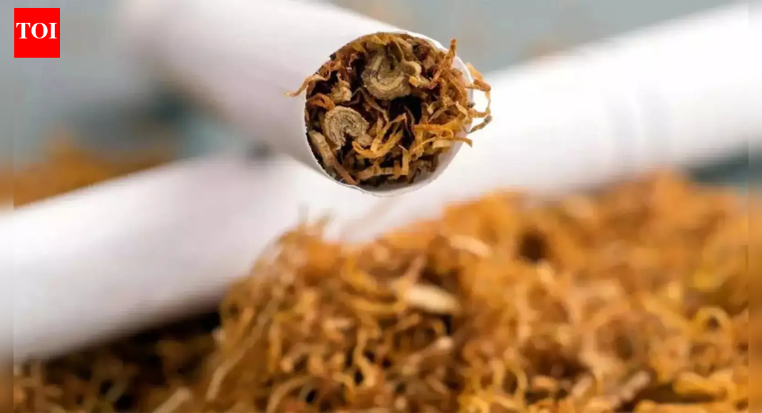 'Gogo paper' banned: Guj bars rolling papers, pre-rolled cones sale