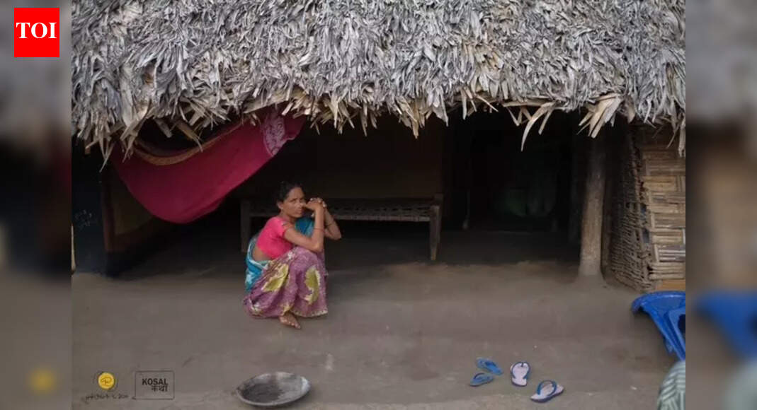 SIR Survey: Two decades after fleeing Maoist violence, Bastar's displaced tribals in AP, Telangana fear loss of vote