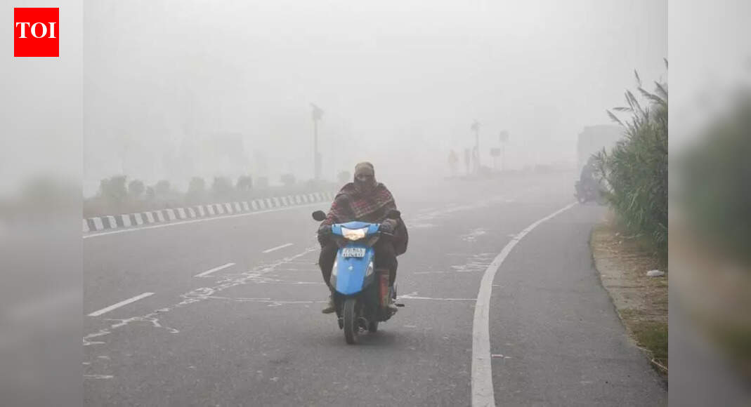 The Times of India - Business - News Image