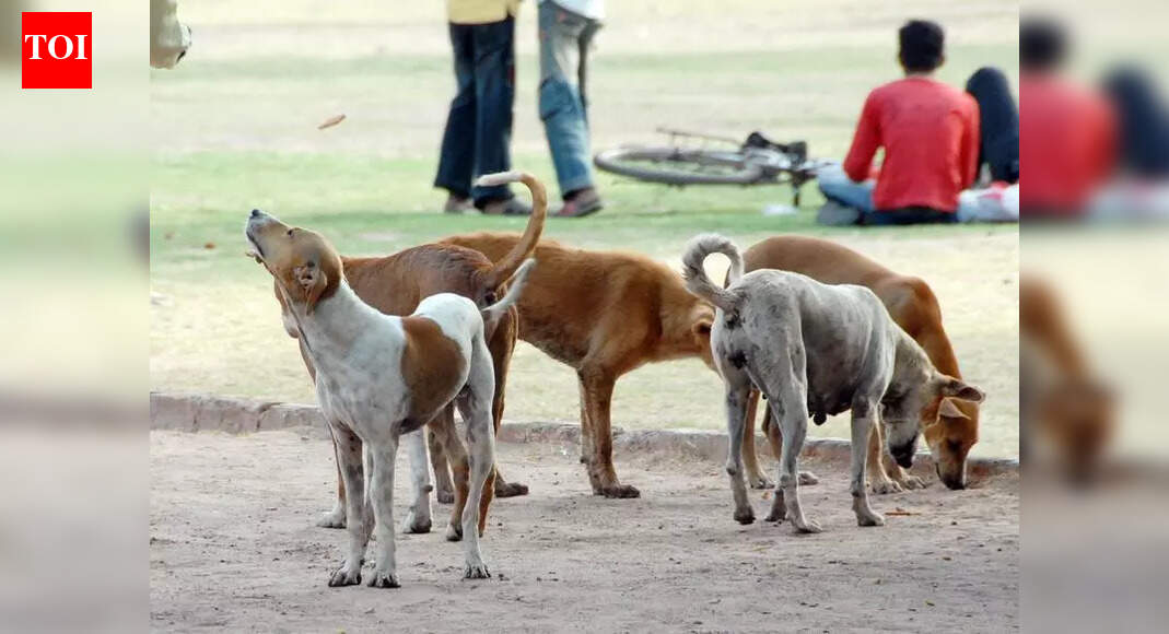 The Times of India - Business - News Image