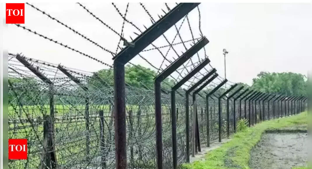 Indo-Bangladesh border records highest infiltration cases in 2025: Govt data
