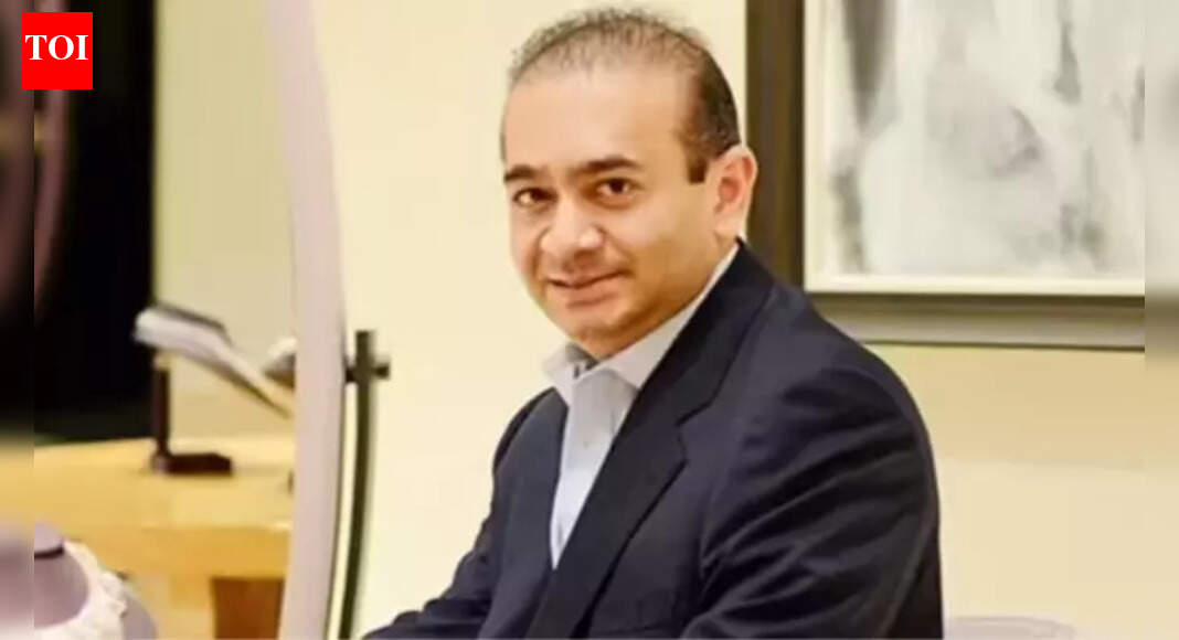 Extradition case: Nirav Modi seeks fresh hearing; cites torture risk in India