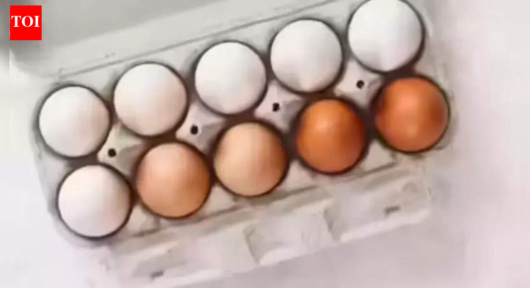 FSSAI tests eggs after nitrofuran allegations | Chennai News