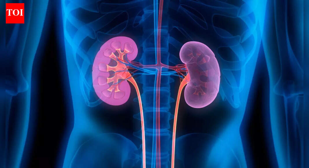 Kidney health: Novel inflammatory-nutritional marker linked to diabetic kidney disease risk; here’s what it means