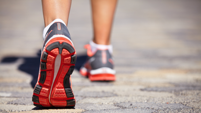  Study reveals how timing affects fat burning