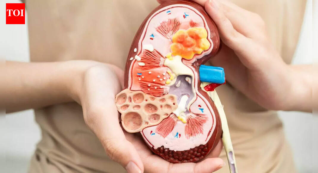 Reverse kidney damage naturally: Foods and habits for reducing inflammation and boosting metabolism