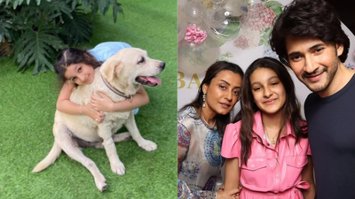 Namrata Shirodkar mourns the loss of her beloved pet Nobu; says, ‘You will always be in our prayers’; calls her ‘first little big baby’