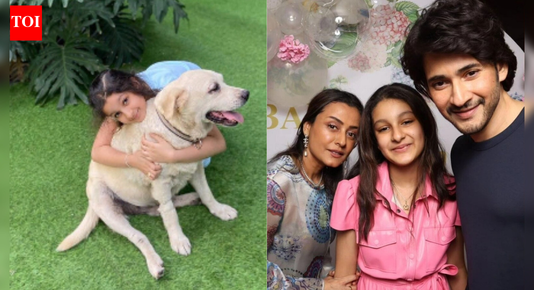 Namrata Shirodkar mourns the loss of her beloved pet Nobu; says, ‘You will always be in our prayers’; calls her ‘first little big baby’
