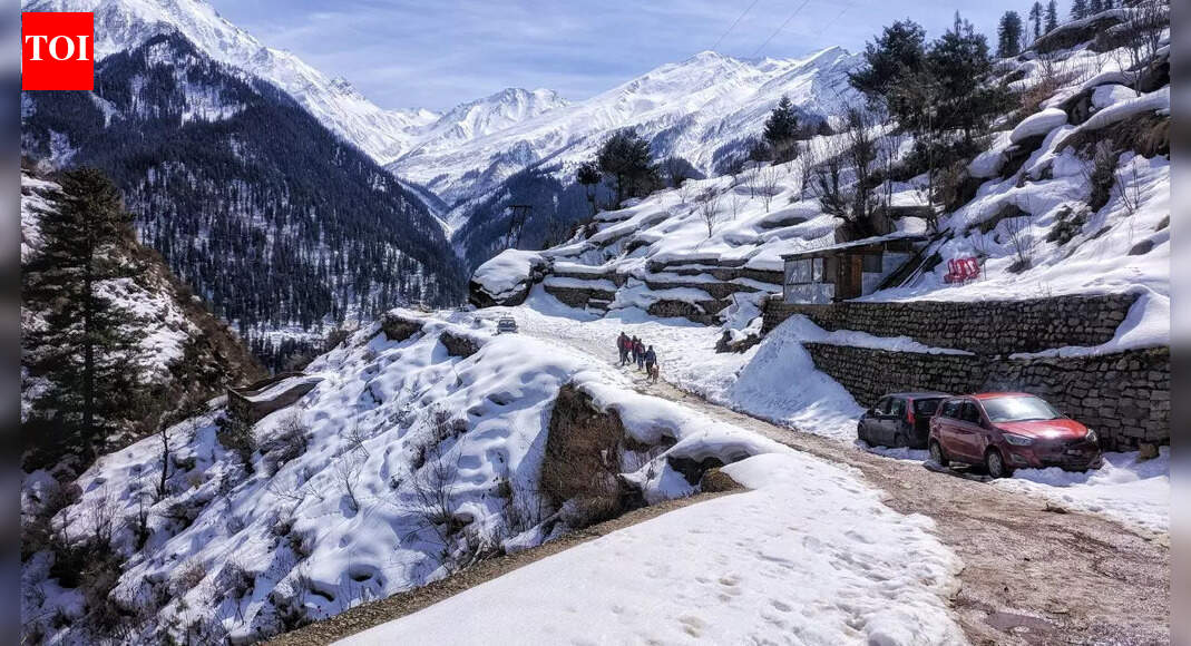 Manali ‘snow scam’ exposed: Tourists fooled by tiny snow patch misleading winter tourism; netizens say ‘isse zada barf toh mere fridge mei hai’