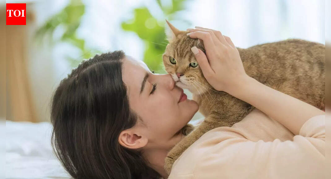 Do cats like getting kisses and how to tell if your cat actually enjoys them
