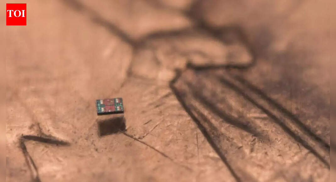 World’s tiniest programmable robots, smaller than a grain of sand can now swim, sense, and think