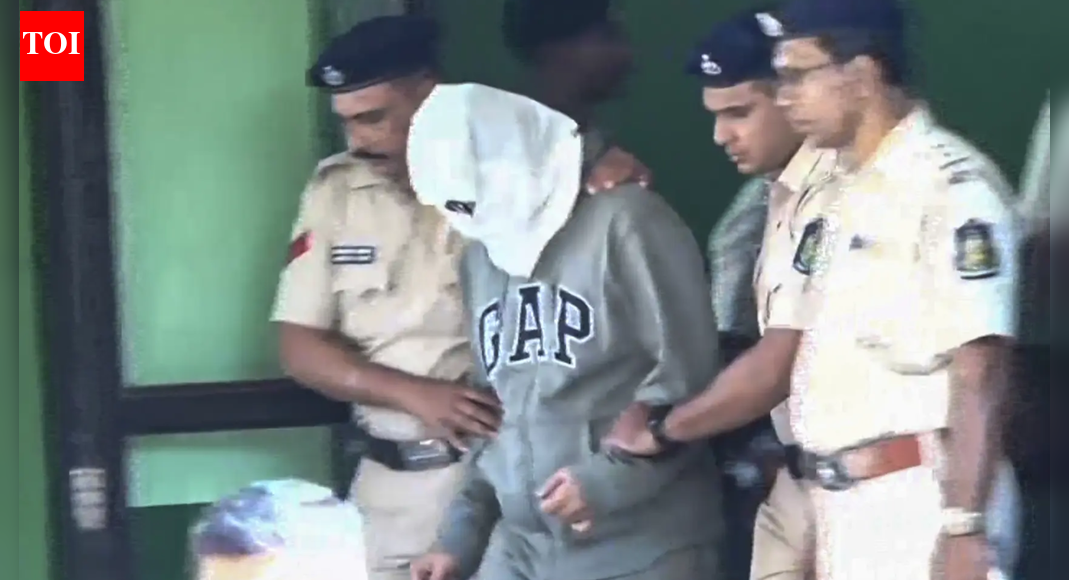 Nightclub fire: North Goa court orders fresh medical check of Luthra brothers; one sibling reported chest pain earlier