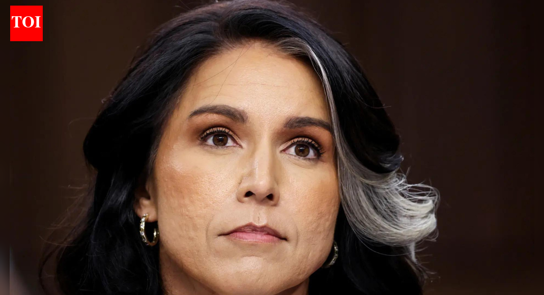 Too late for Europe, maybe Australia, but not for US: Tulsi Gabbard on Sydney's Bondi Beach attack