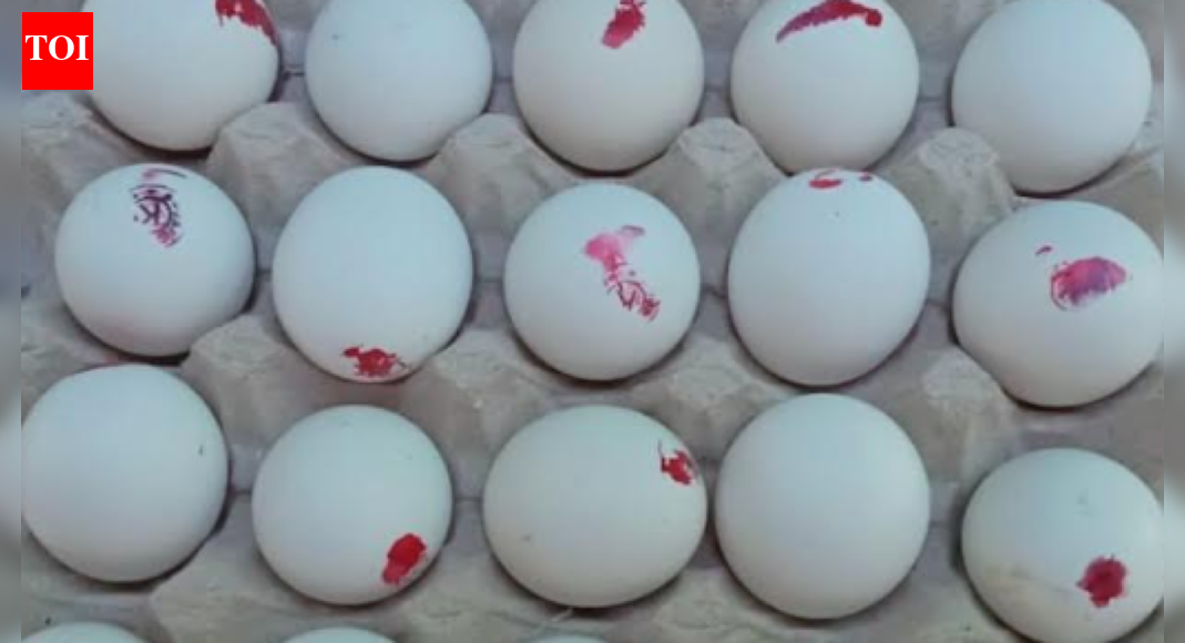 Egg adulteration allegations: Samples to be taken from 300 Namakkal poultry farms for testing