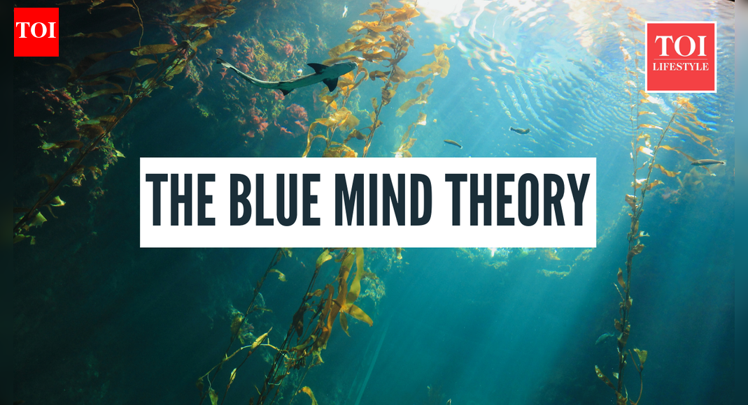 What is the blue mind theory and how you can harness its benefits