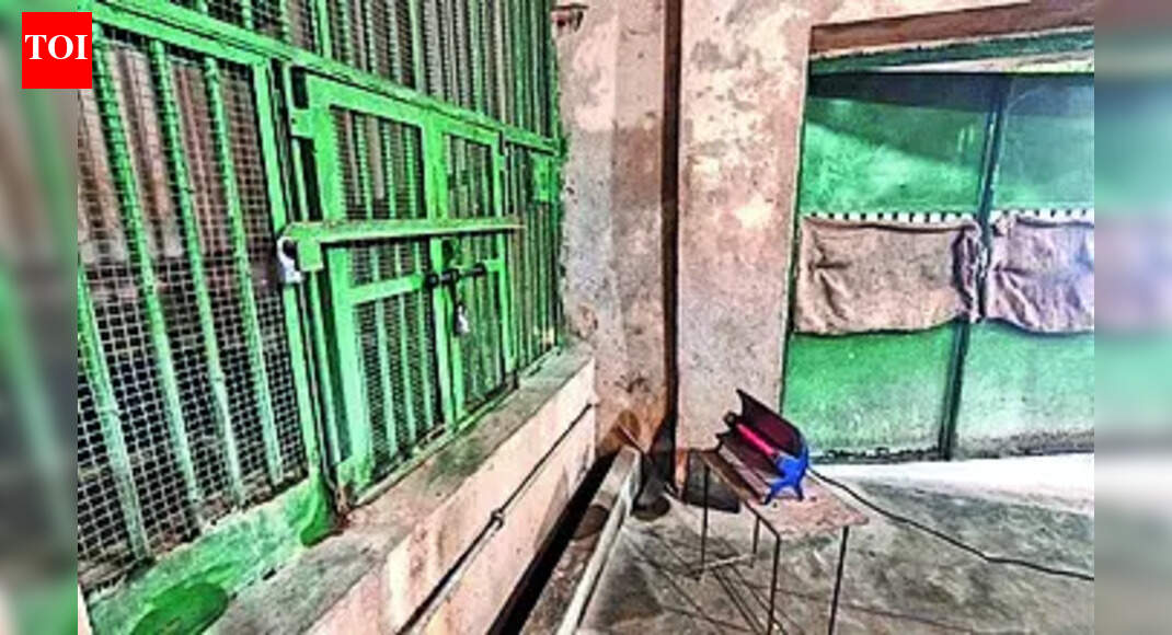 Special diet, heaters to keep zoo inmates warm at Bokaro zoo