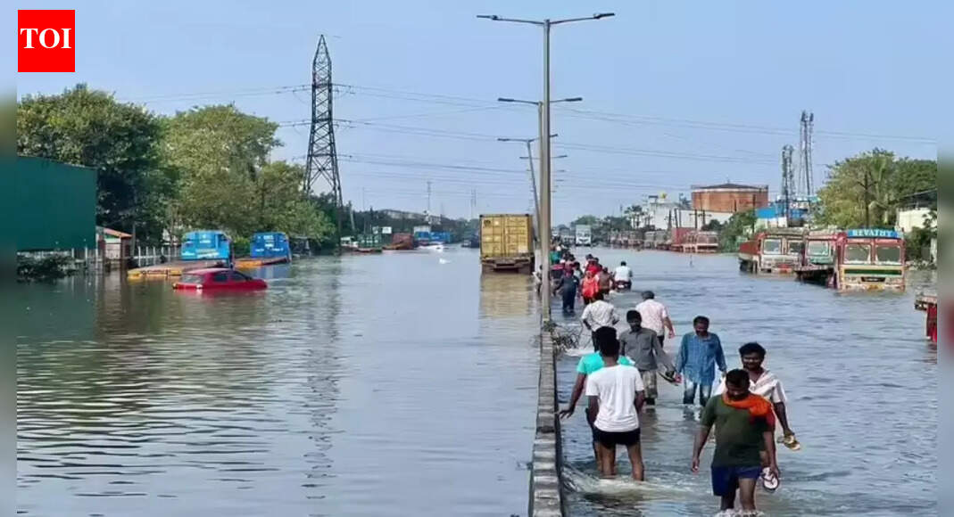 With shrinking wetlands, rising climate risks, is Chennai ready for the next flood?
