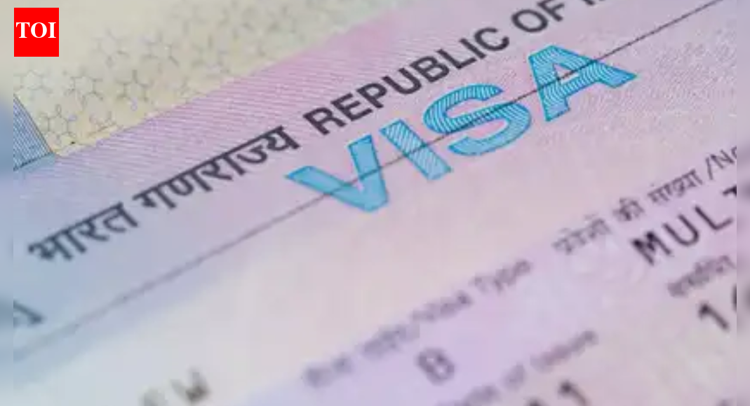 Visa reform: Govt streamlines e-visa process for foreign professionals needed by Indian firms; DPIIT launches digital module