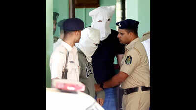 Police bring Luthras to Goa, court sends them to 5-day police custody