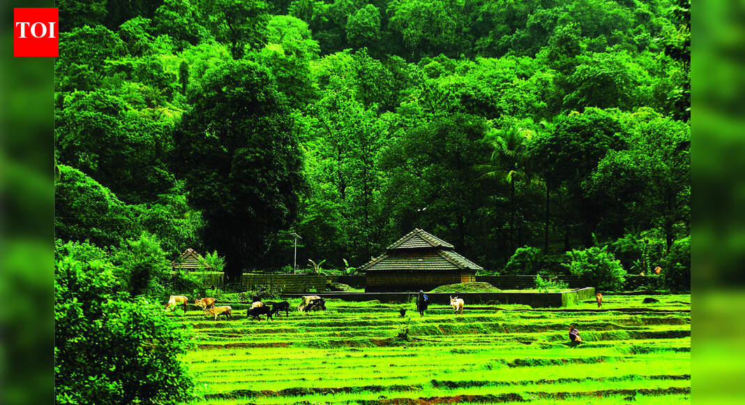 183ha of forest diverted over past 5 years: Centre in RS