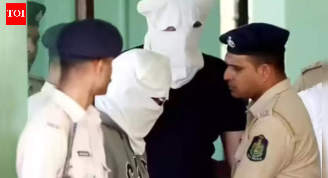 Nightclub fire case: Police bring Luthras to Goa, court sends them to 5-day police custody