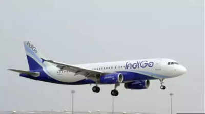 Panel questions IndiGo, DGCA babus, gets 'unconvincing' replies