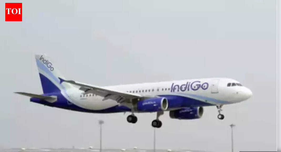 Panel questions IndiGo, DGCA babus, gets 'unconvincing' replies