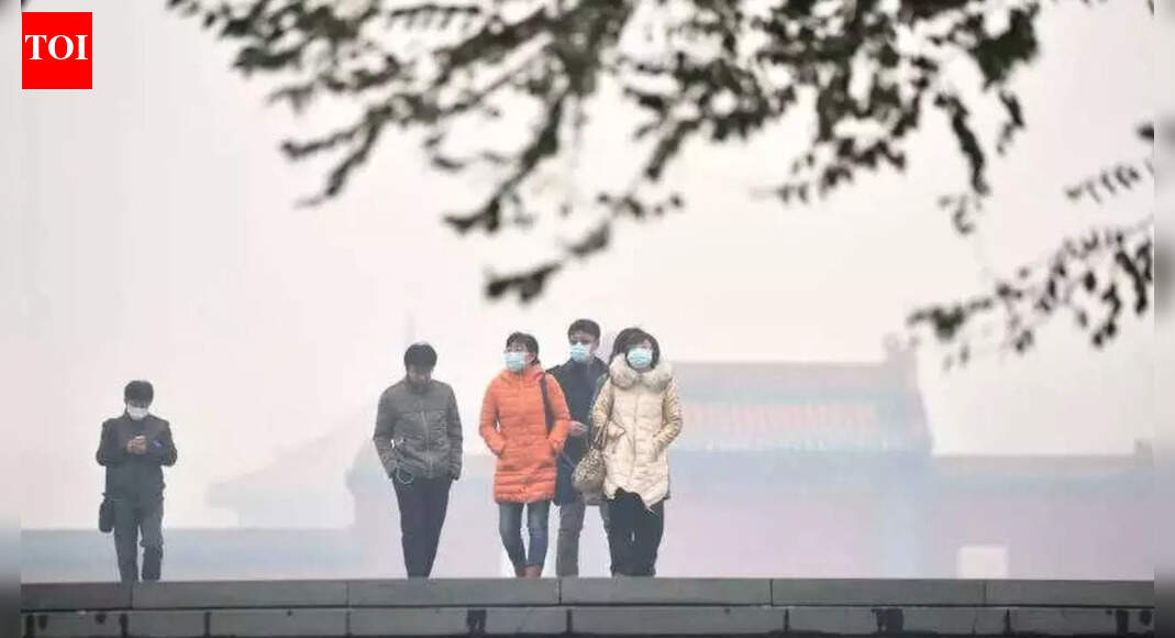 ‘This is how we did it’: China embassy has advice for Delhi pollution; ultra-strict vehicle norms, public transport push key