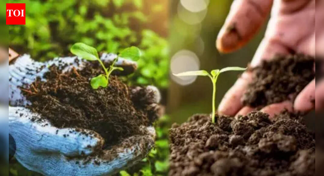 Doctor couple’s model that heals people and builds rural economy