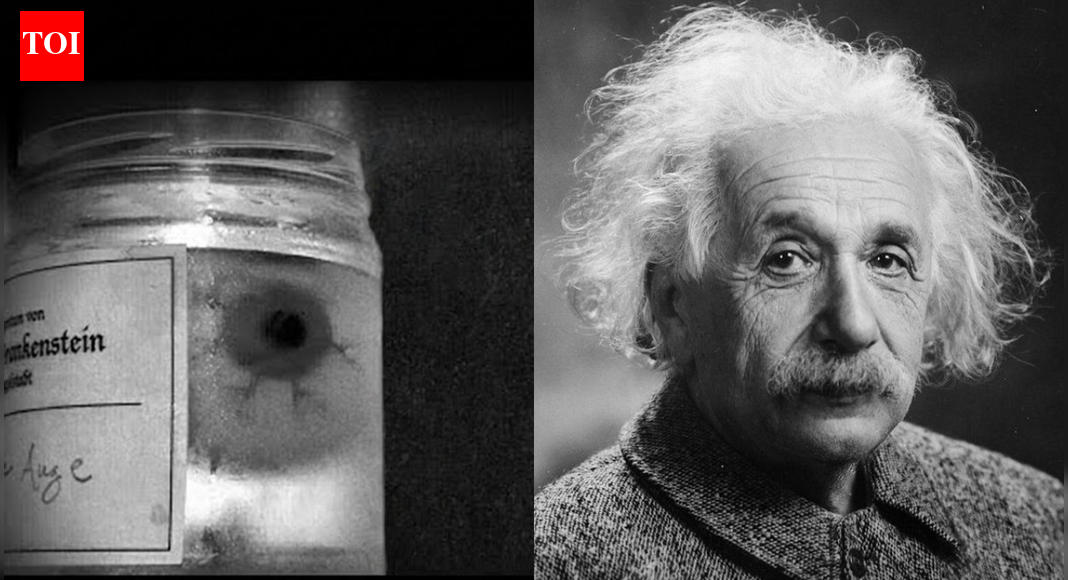 Albert Einstein’s eyes were stolen after his death and hidden in a New York safe-deposit box