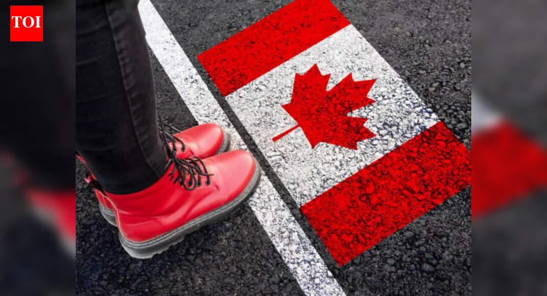 Canada sees 60% drop in international student enrollment: Are stricter rules turning applicants away?