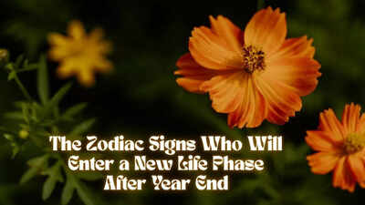 The Zodiac Signs Who Will Enter a New Life Phase After Year End