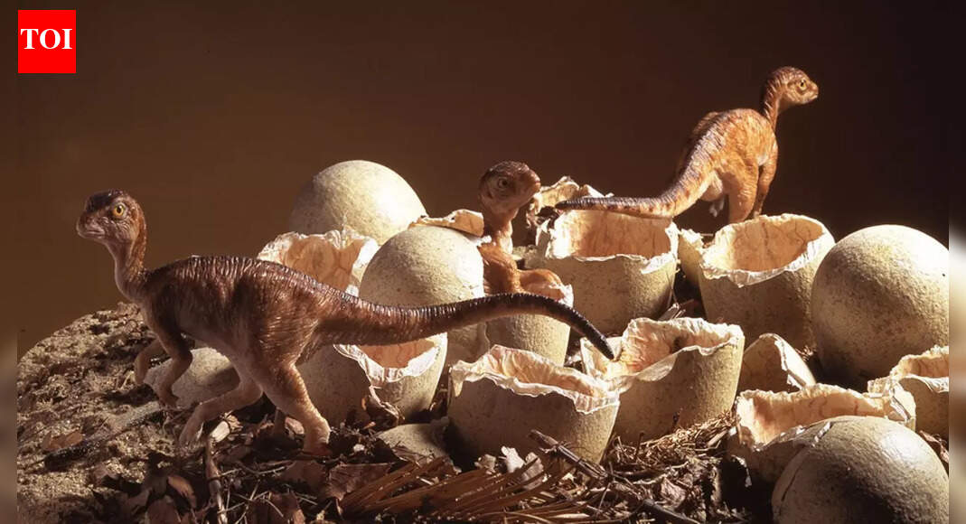 Parenting in the Mesozoic Era: Were dinosaurs good parents to their children?