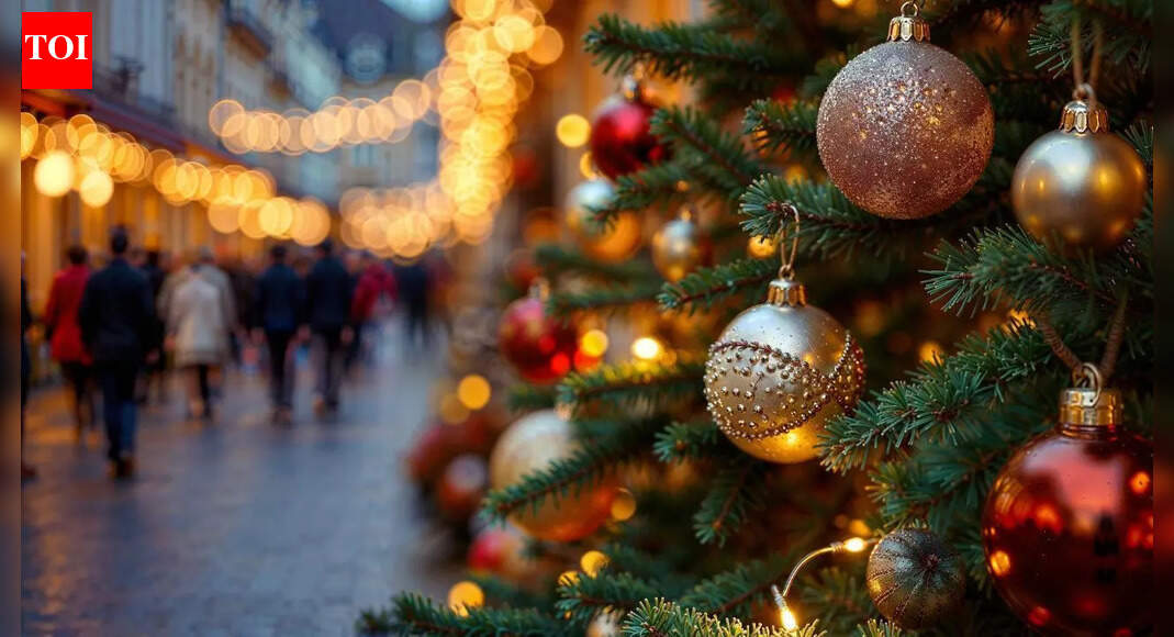 7 beautiful plants you can use instead of a traditional Christmas tree this festive season