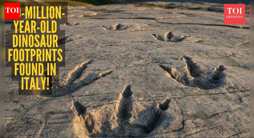210-million-year-old dinosaur footprints found in Italy leave scientists stunned