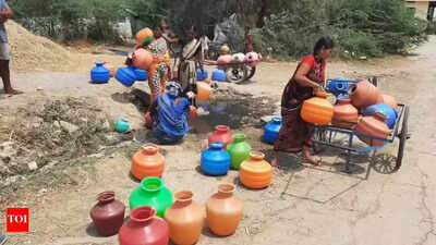 India's groundwater crisis: Which states are heading towards 'Day Zero' first