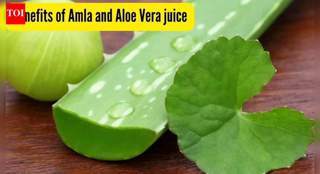 Aloe Vera and Amla: Why one should have this drink first thing in the morning