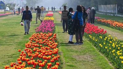 NDMC to plant 2.6 lakh tulips; religious sites, public spaces to be decorated
