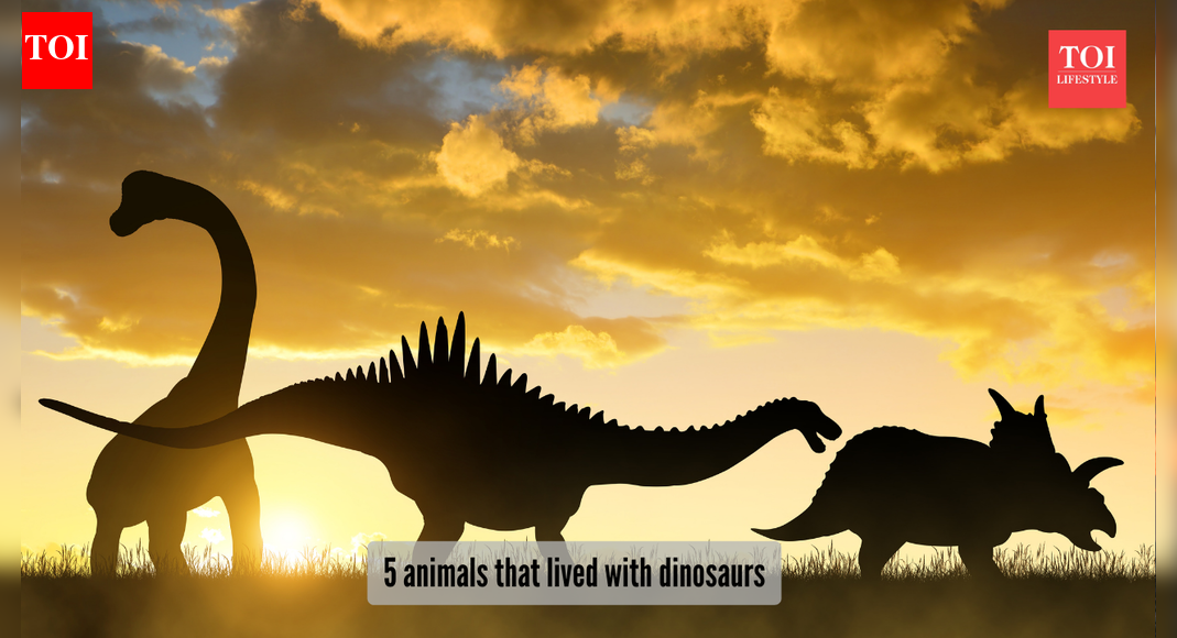 ​These 5 living animals once walked the earth with dinosaurs​